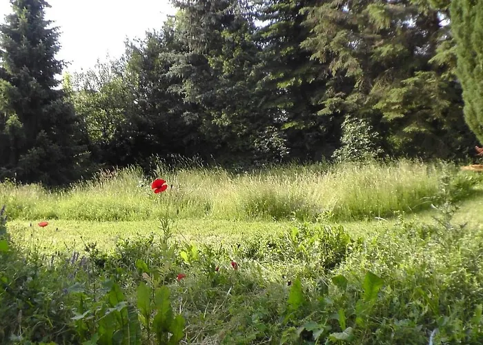 Lägenhet Kleine Kirche Atzendorf *
