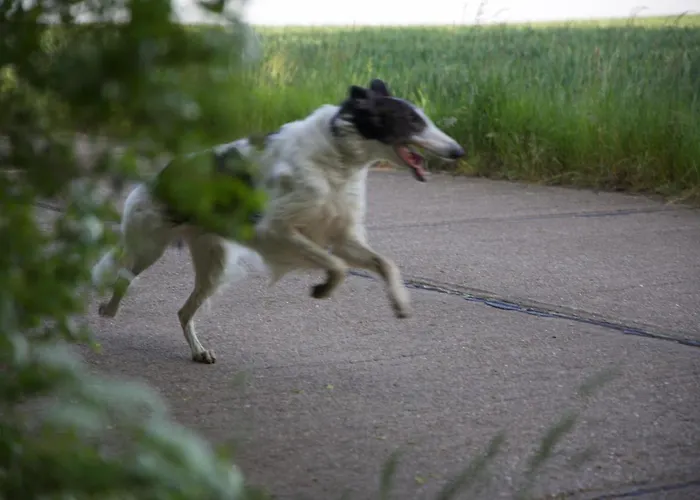 公寓 Kleine Kirche Atzendorf